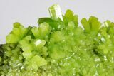 Apple-Green Pyromorphite Crystal Cluster - China #179812-1